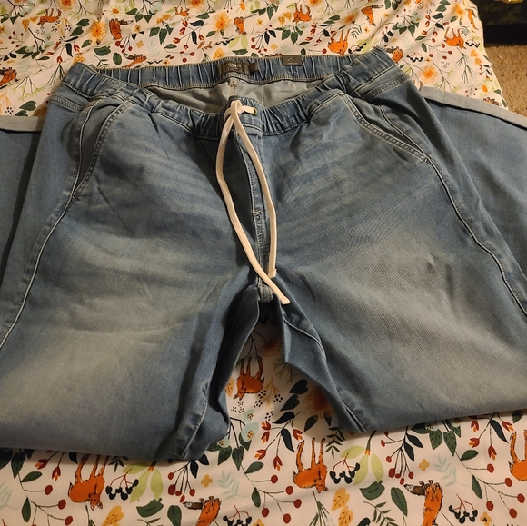 Torrid Pull-On Jeans - Picture 4 of 9